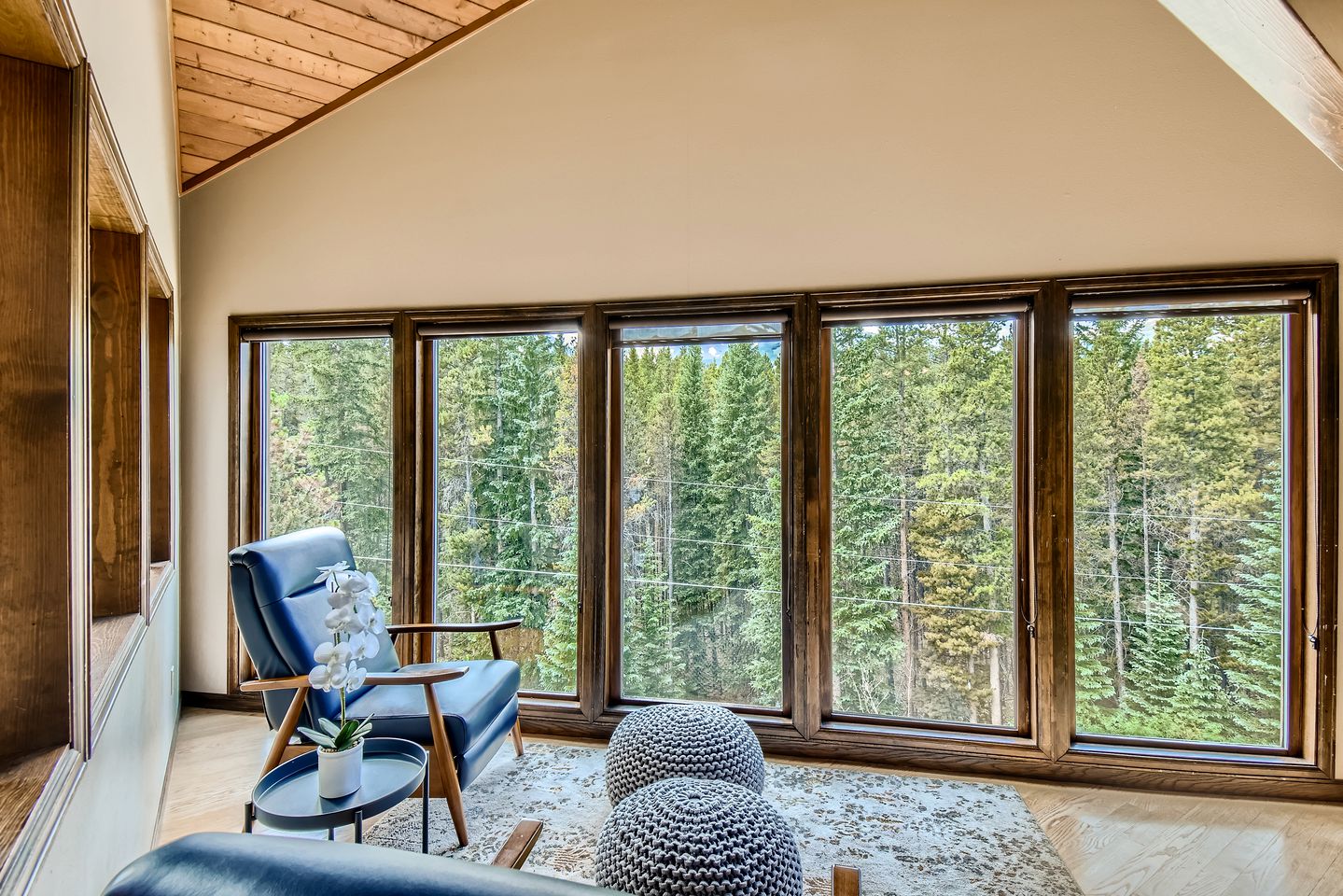 Majestic Mountain Ski Cottage with Panoramic Views of the Breckenridge Ski Area and the Epic Rocky Mountains, Colorado