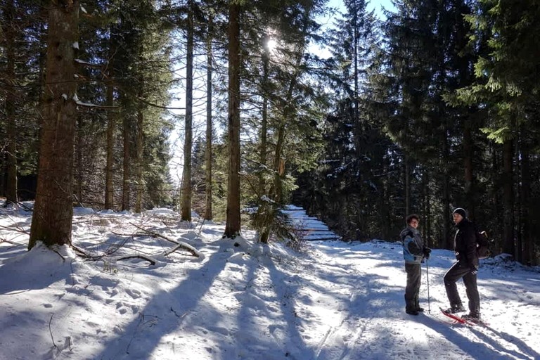 Tiny Houses (France, Saulieu, Bourgogne-Franche-Comté)
