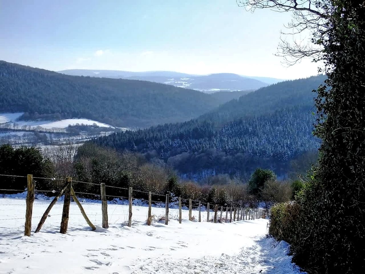 Immersive Glass Tiny House with Panoramic Nature Views near Morvan Regional Natural Park, Côte-d’Or