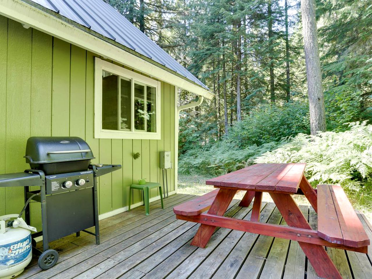 Cabin in Mount Hood Forest, Orgon