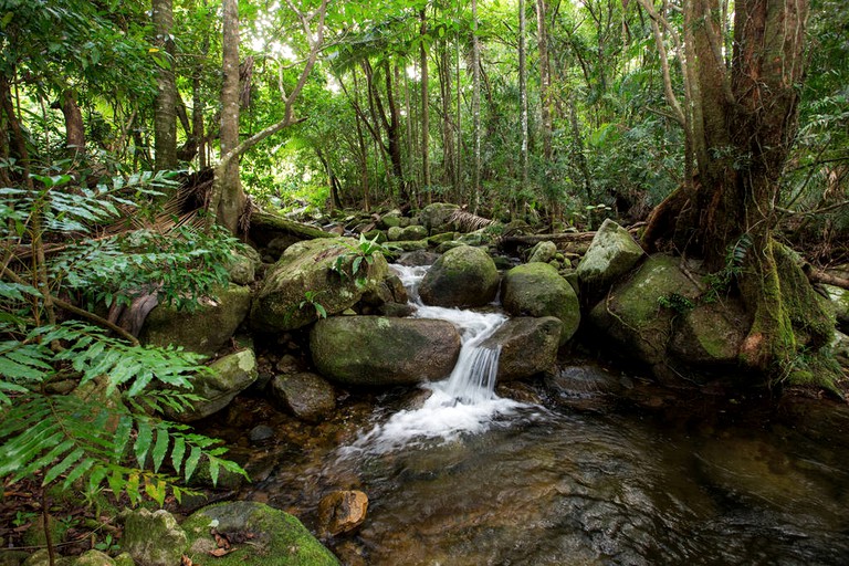 Cabins (Bloomfield, Queensland, Australia)