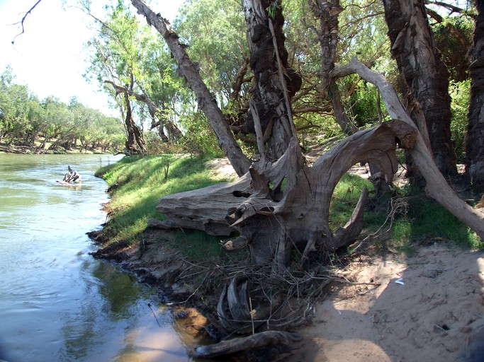 Safari Tents (Daly River, Northern Territory, Australia)