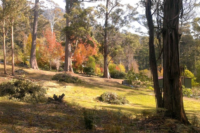 Cottages (Deloraine, Tasmania, Australia)