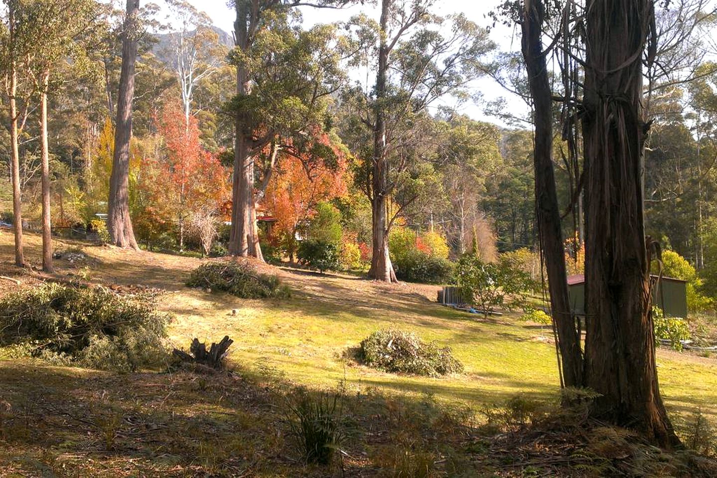 Secluded Cottage Rental Tucked Away in the Countryside near Deloraine, Tasmania