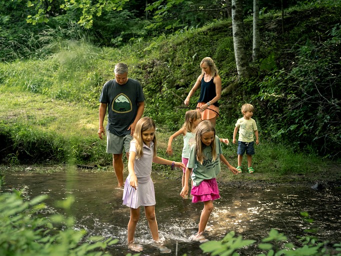 Cabins (United States of America, Bryson City, North Carolina)