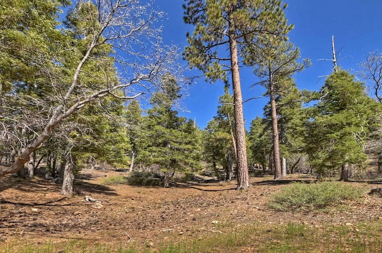 Cabins (United States of America, Big Bear Lake, California)
