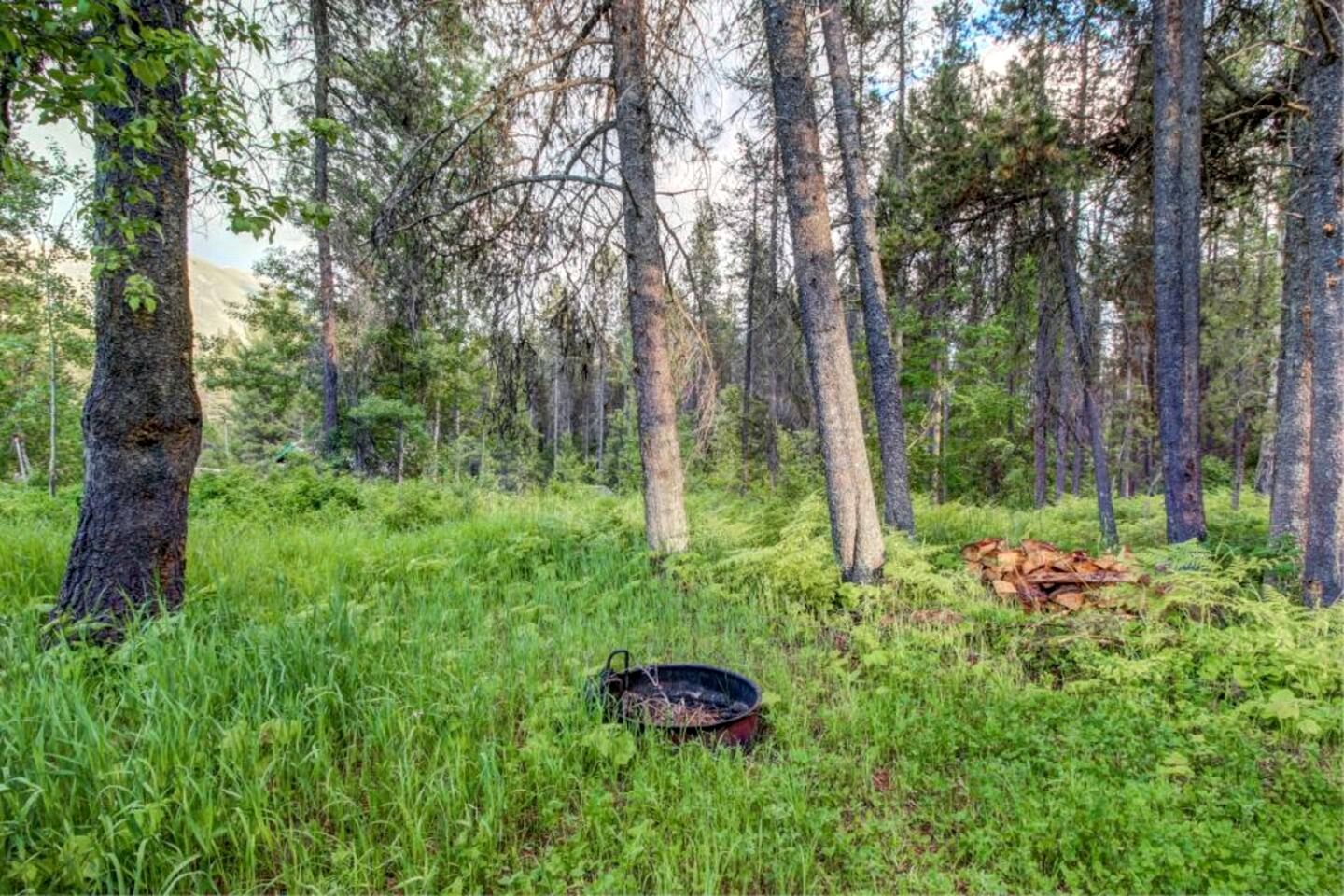 Family-Friendly Cabin Rental with Mountain Vistas near West Glacier, Montana