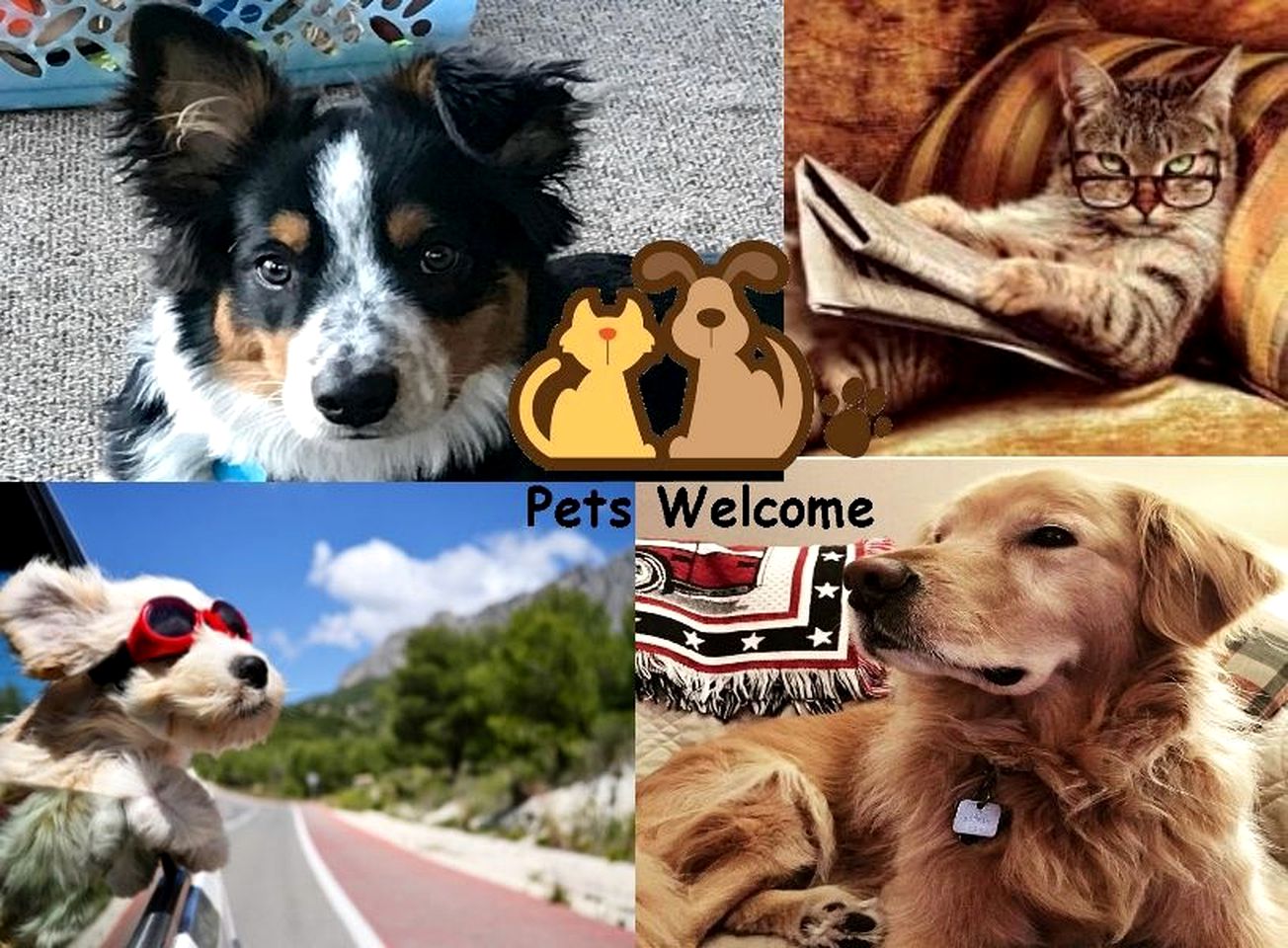 Pet-Friendly Cabin with Hot-Tub Fantastic for Outdoor Adventures in Gatlinburg, Tennessee