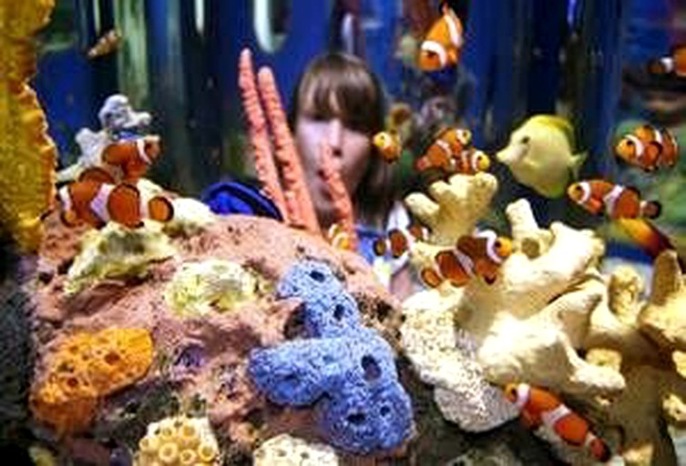 Cabins (United States of America, Gatlinburg, Tennessee)