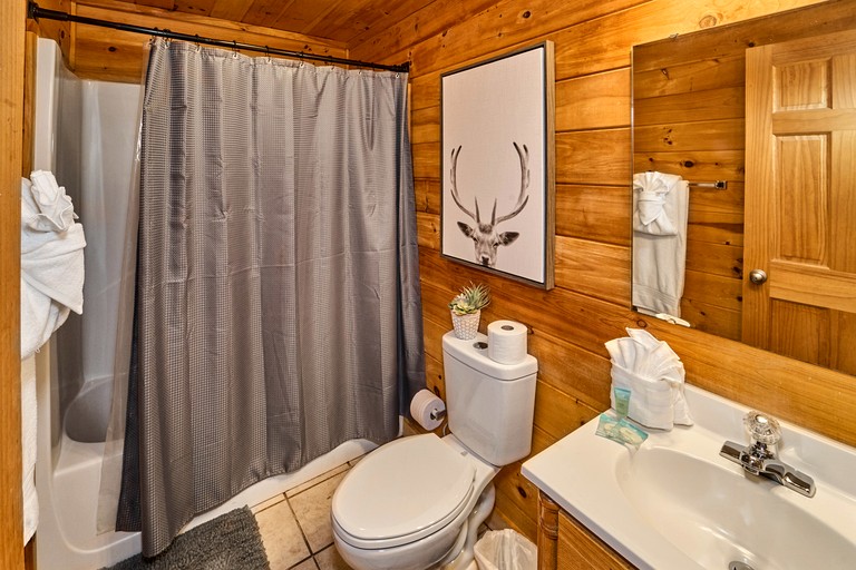 Cabins (United States of America, Pigeon Forge, Tennessee)