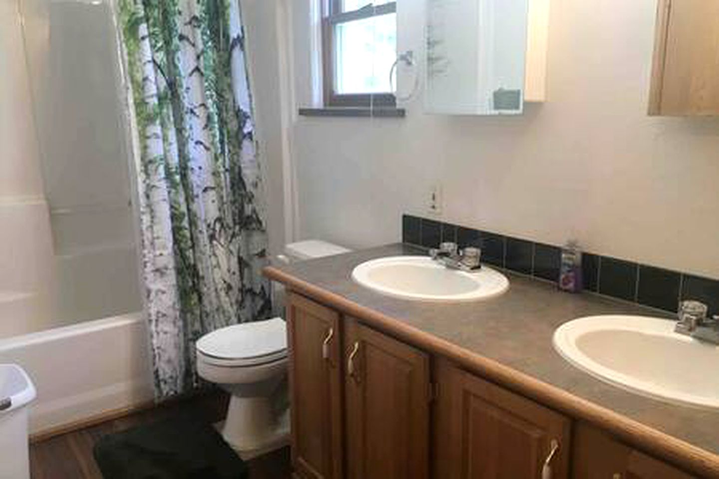 Luxury Mountain Getaway near Routt National Forest in Colorado