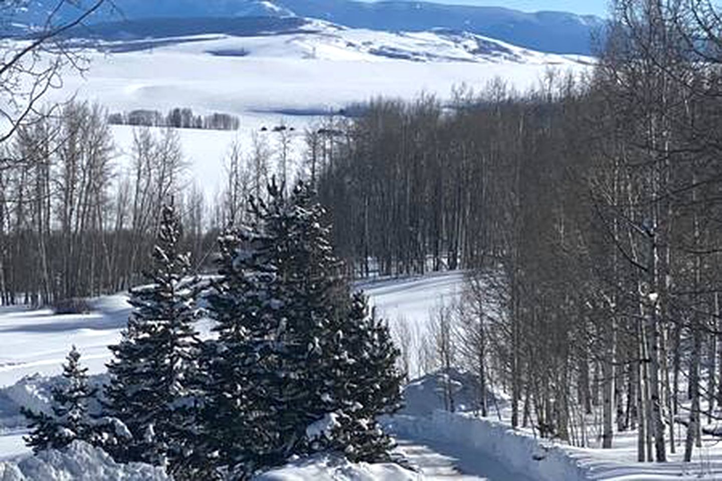 Luxury Mountain Getaway near Routt National Forest in Colorado
