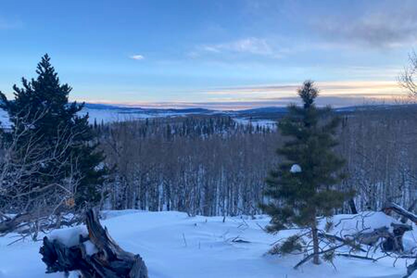 Luxury Mountain Getaway near Routt National Forest in Colorado