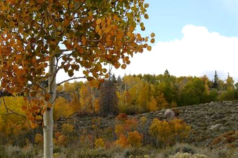 Cabins (United States of America, Walden, Colorado)