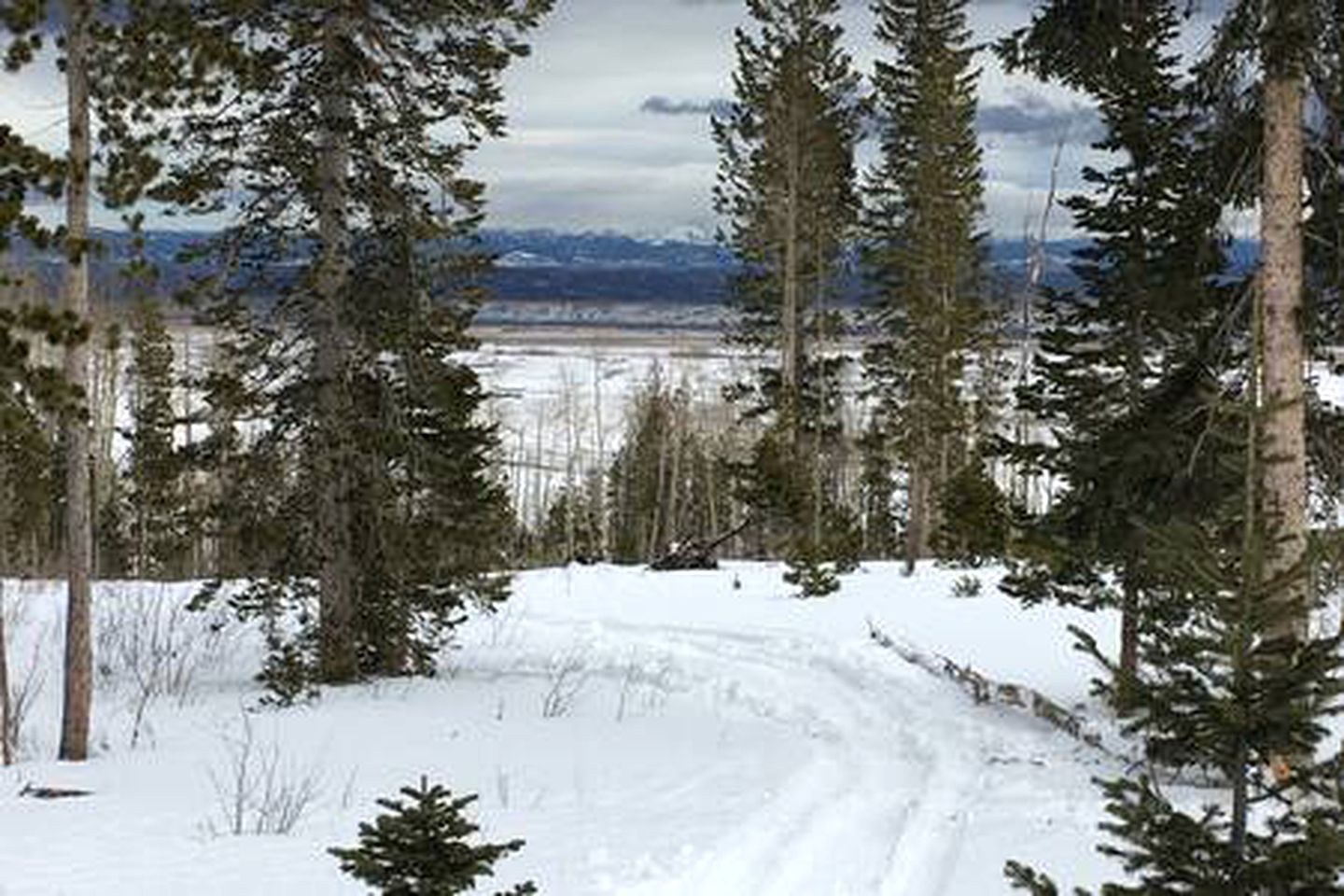 Luxury Mountain Getaway near Routt National Forest in Colorado