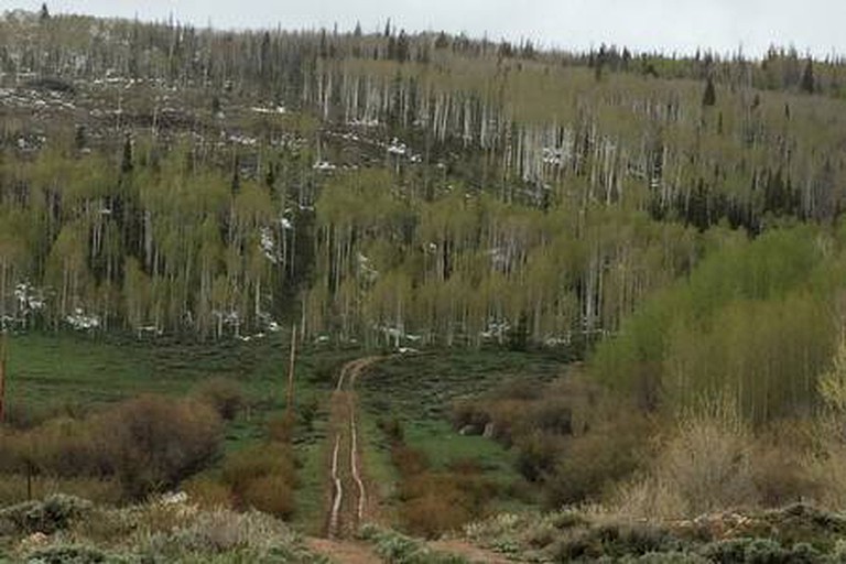 Cabins (United States of America, Walden, Colorado)