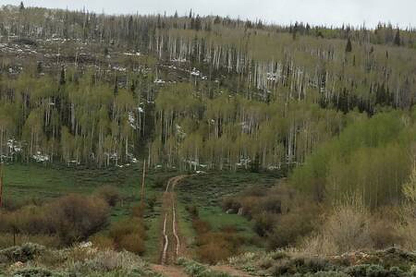 Luxury Mountain Getaway near Routt National Forest in Colorado