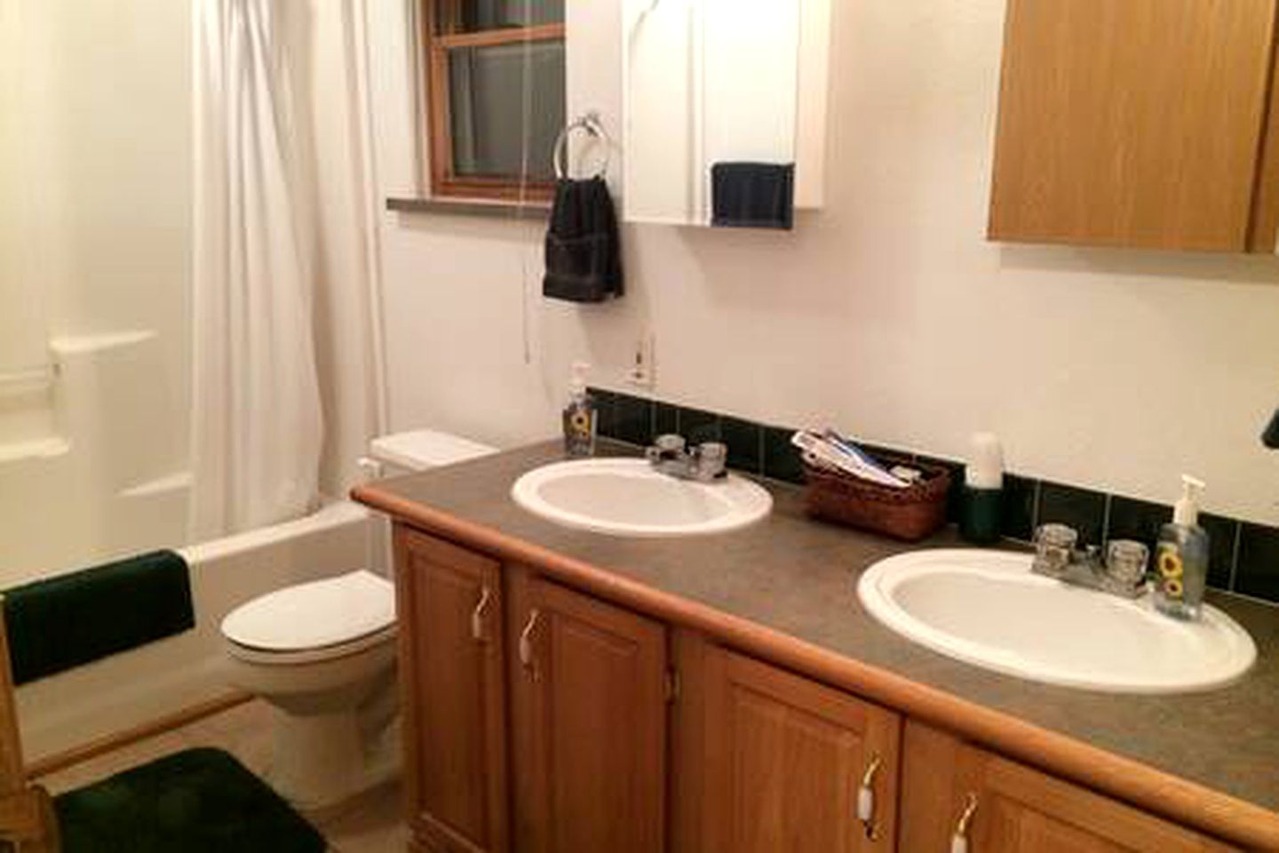 Luxury Mountain Getaway near Routt National Forest in Colorado