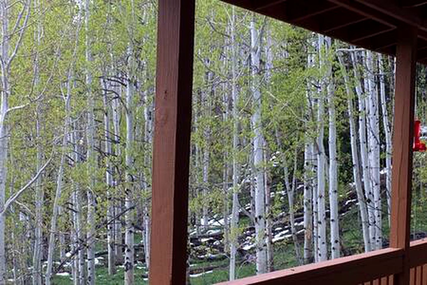 Luxury Mountain Getaway near Routt National Forest in Colorado
