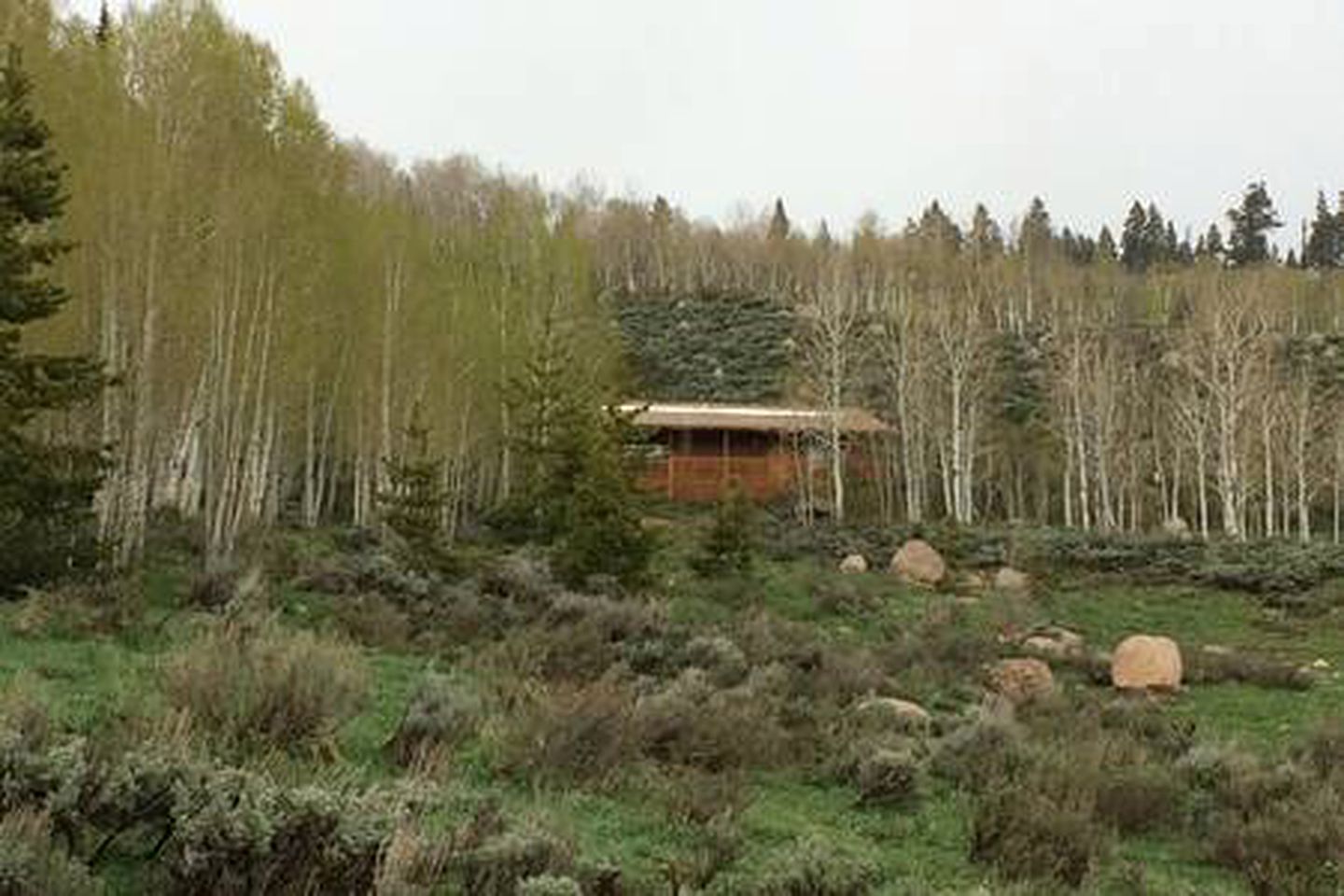 Luxury Mountain Getaway near Routt National Forest in Colorado
