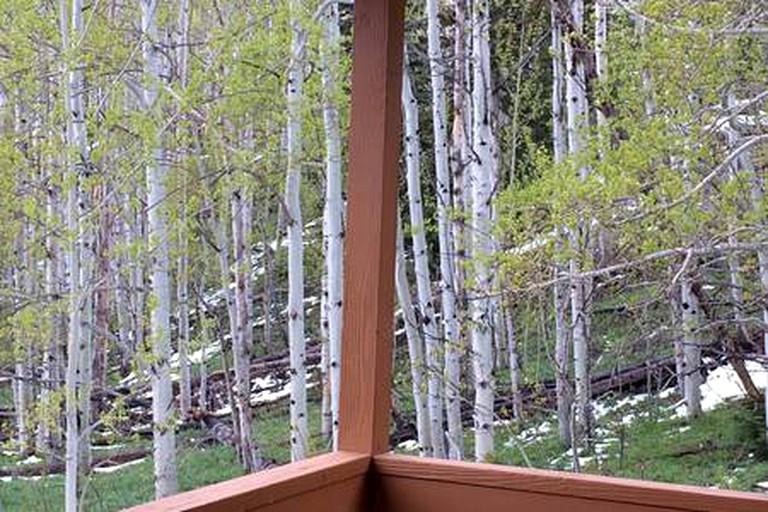 Cabins (United States of America, Walden, Colorado)