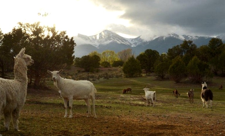 Caravans (Salida, Colorado, United States)