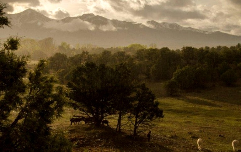 Caravans (Salida, Colorado, United States)