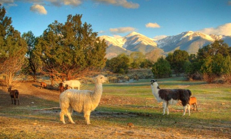 Caravans (Salida, Colorado, United States)