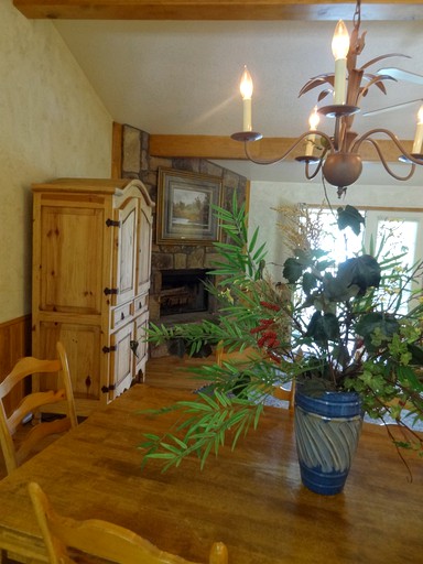 Cabins (United States of America, Mount Ida, Arkansas)