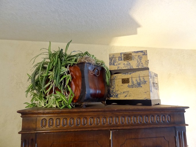 Cabins (United States of America, Mount Ida, Arkansas)