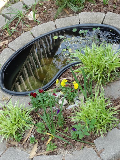 Cabins (United States of America, Mount Ida, Arkansas)