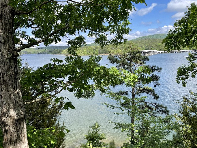 Cabins (United States of America, Mount Ida, Arkansas)