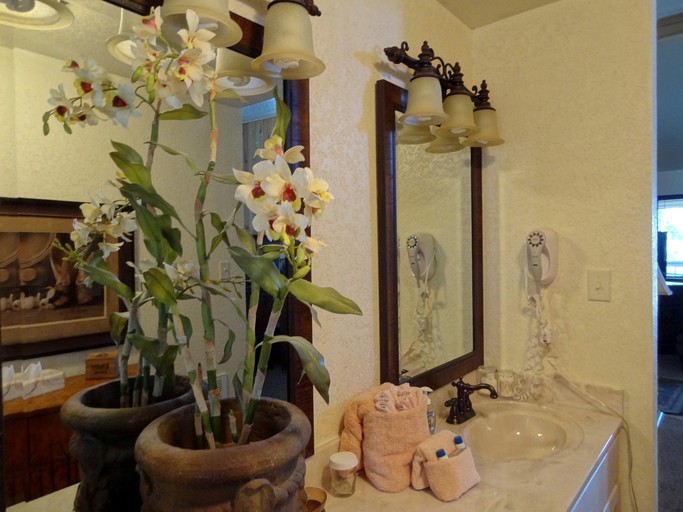 Cottages (United States of America, Mount Ida, Arkansas)