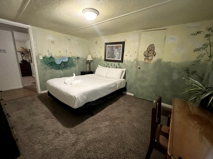 Cabins (United States of America, Mount Ida, Arkansas)