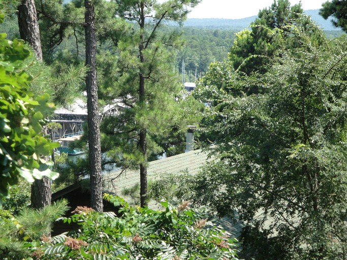 Cottages (United States of America, Mount Ida, Arkansas)