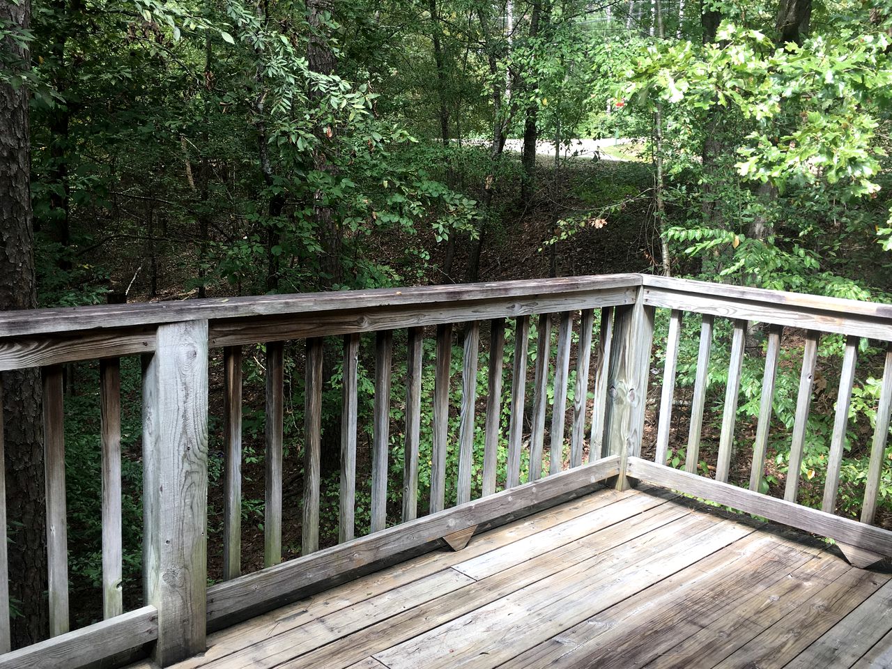 Lakefront Cottage with Spa and Pool Perfect for Outdoor Activities in Mount Ida, Arkansas