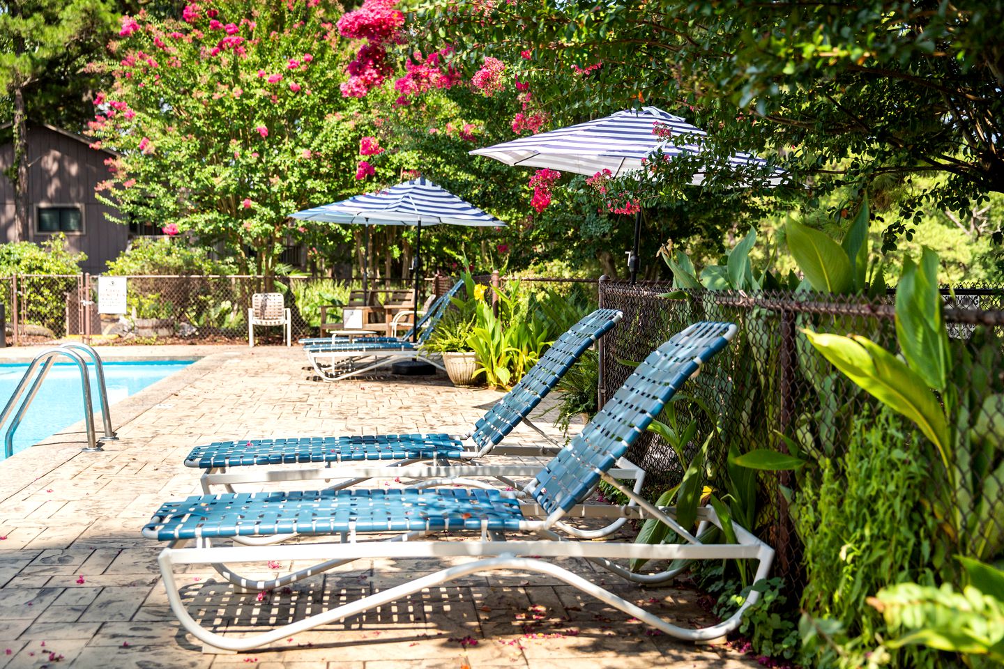 Delightful Lake Cottage with Tennis Court, Pool and Views in Mount Ida, Arkansas