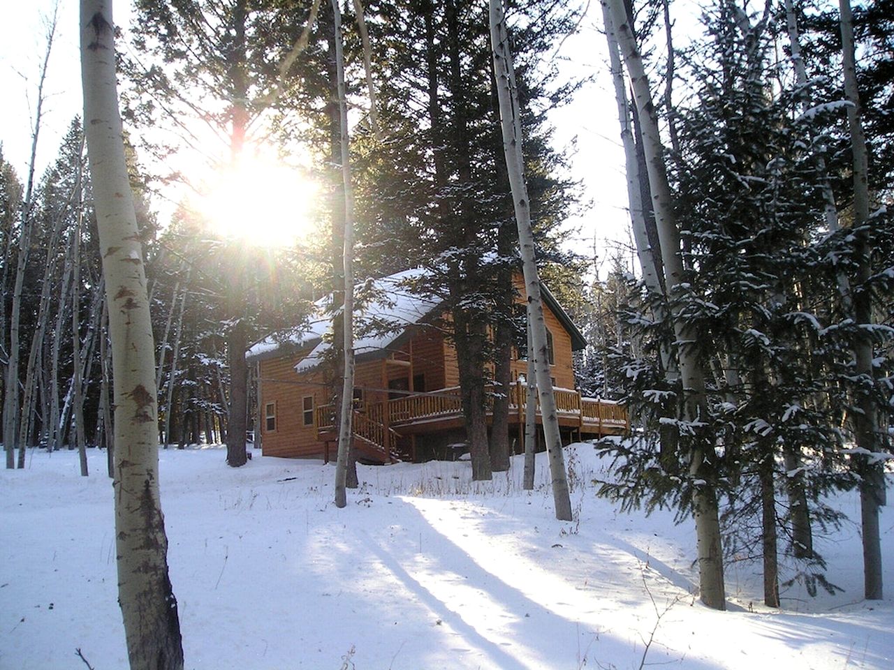 Rustic Family Cabin Nestled Among the Towering Trees in Idaho