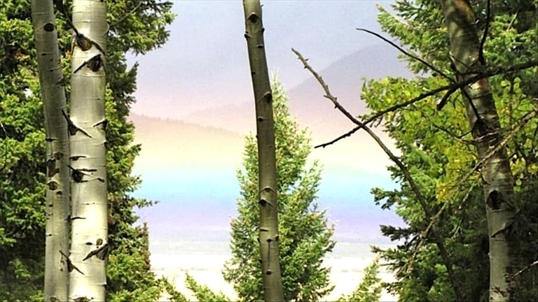 Cabins (United States of America, --, Idaho)