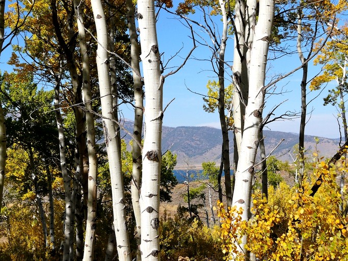 Cabins (United States of America, --, Idaho)