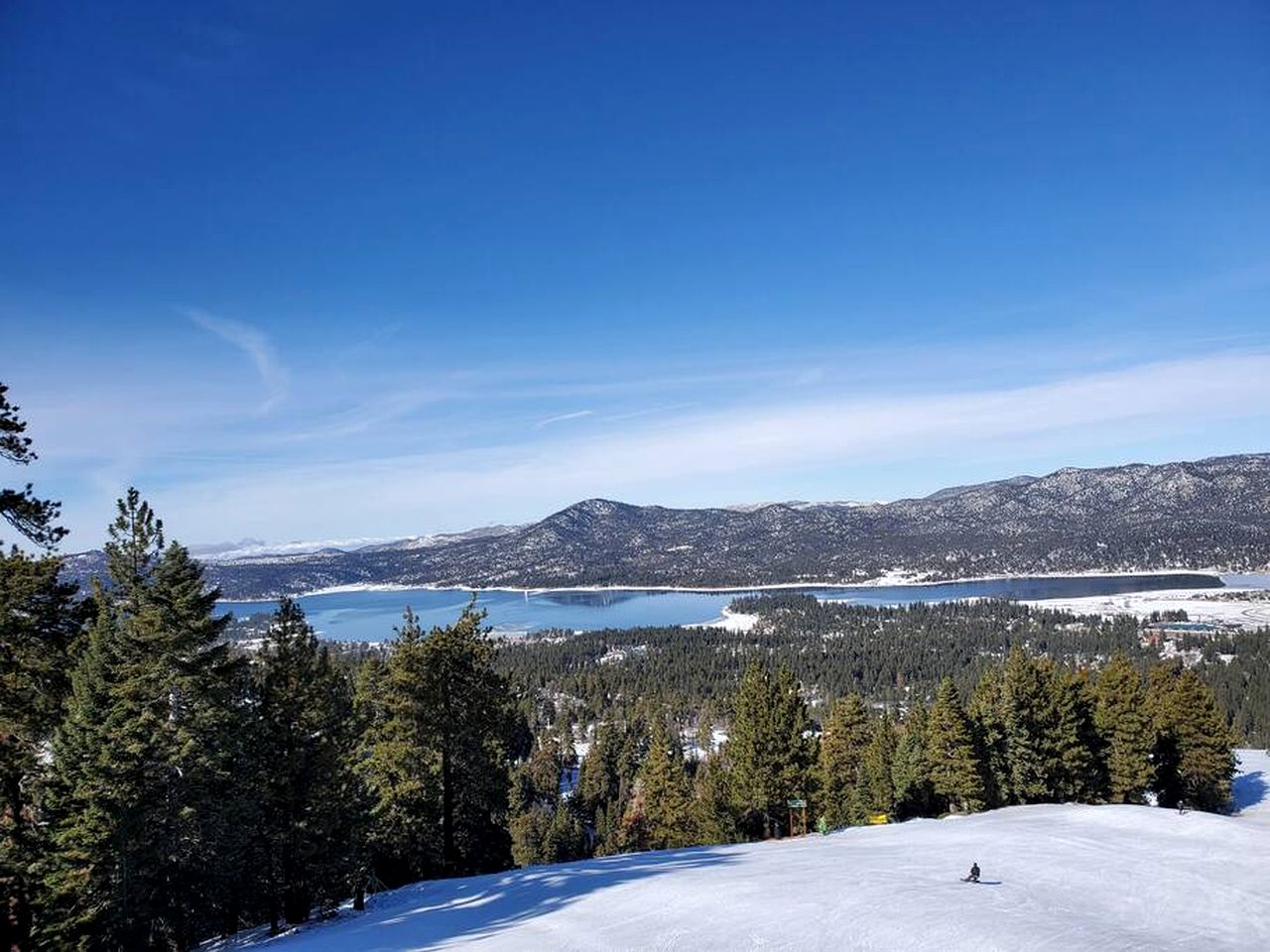 Mountain Magic: Cabin in an Unbeatable Location near Big Bear Lake