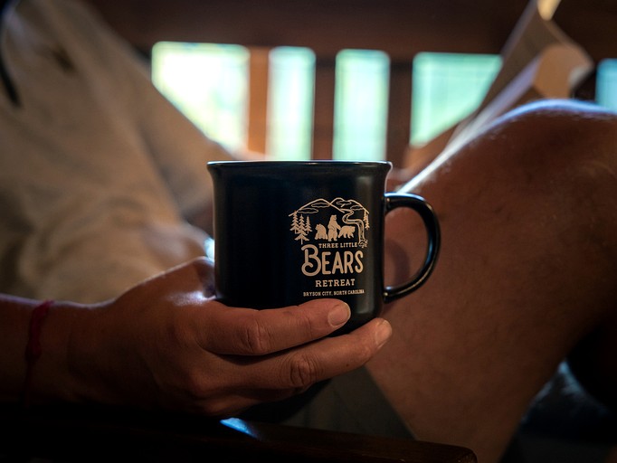 Cabins (United States of America, Bryson City, North Carolina)