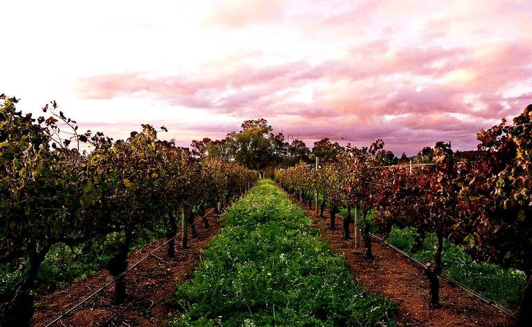 Cottages (Guildford, Western Australia, Australia)