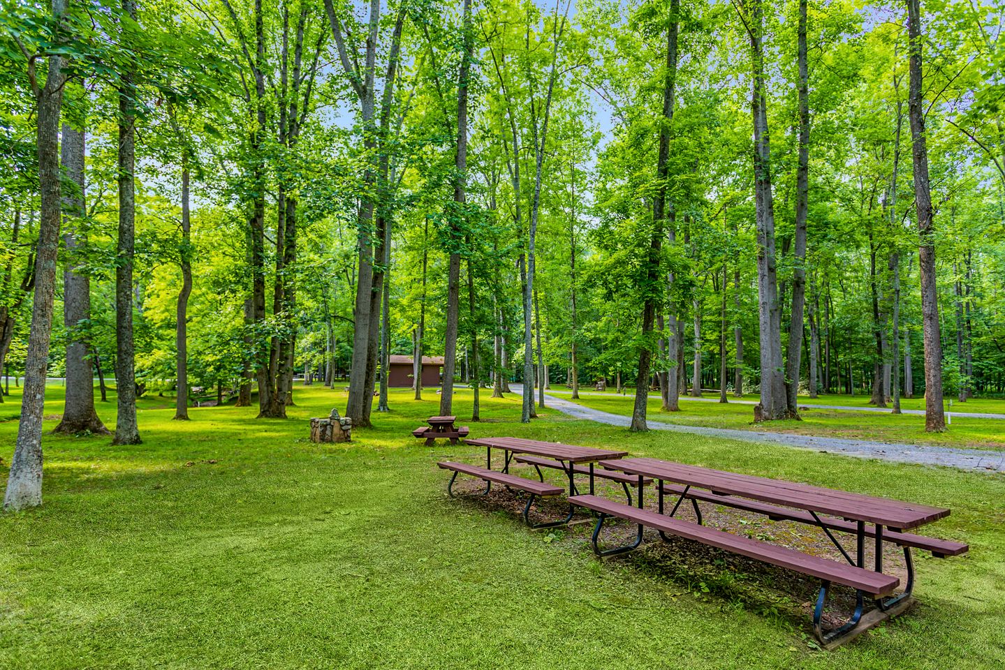 Mountain River Cabin with Hot Tub, Fire Pit and Kayaks for Your Fun Family Getaway in the Mountains of Great Cacapon, WV