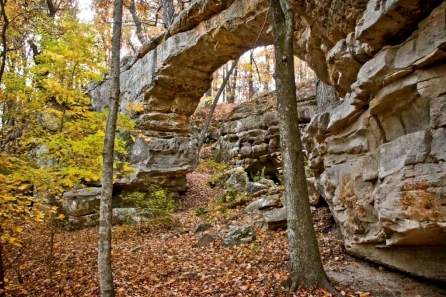 Glorious Cabin with Stunning Sights in Monteagle, Tennessee