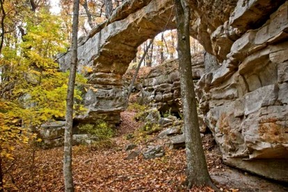 Glorious Cabin with Stunning Sights in Monteagle, Tennessee photo 5