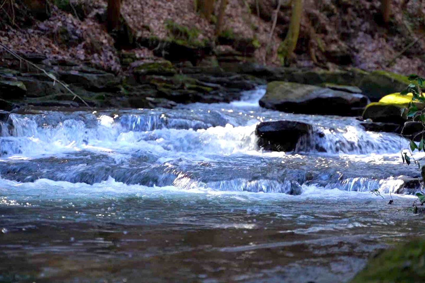 Glorious Cabin with Stunning Sights in Monteagle, Tennessee