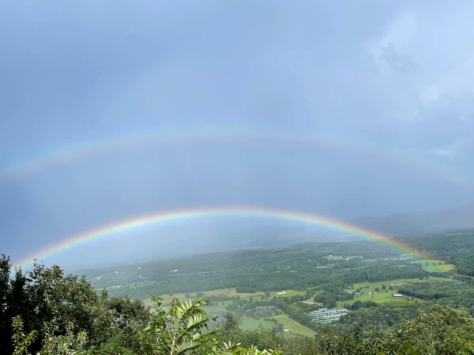 Cabins (United States of America, Rising Fawn, Georgia)