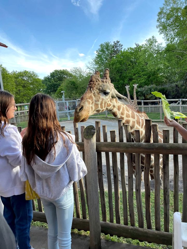 Rustic Log Cabin with Panoramic Mountain Views near Cloudland Canyon, Lookout Mountain GA