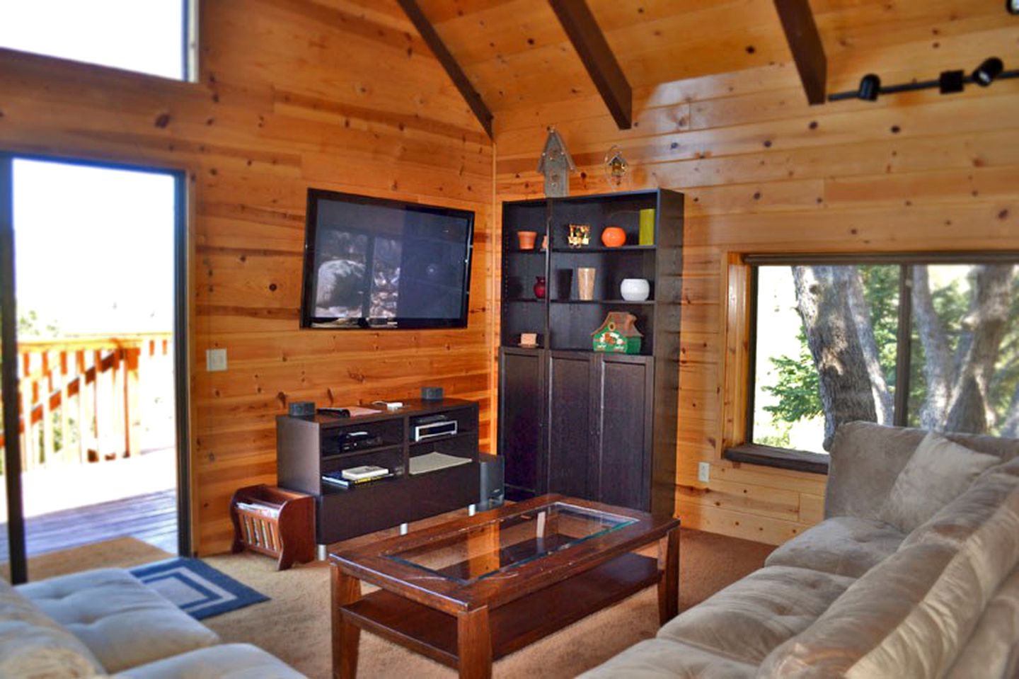 Mountain View Cabin with Private Hot Tub in Idyllwild, California